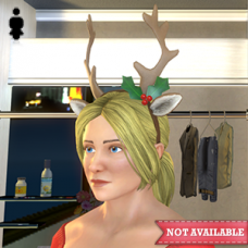 Reindeer Antlers - Female